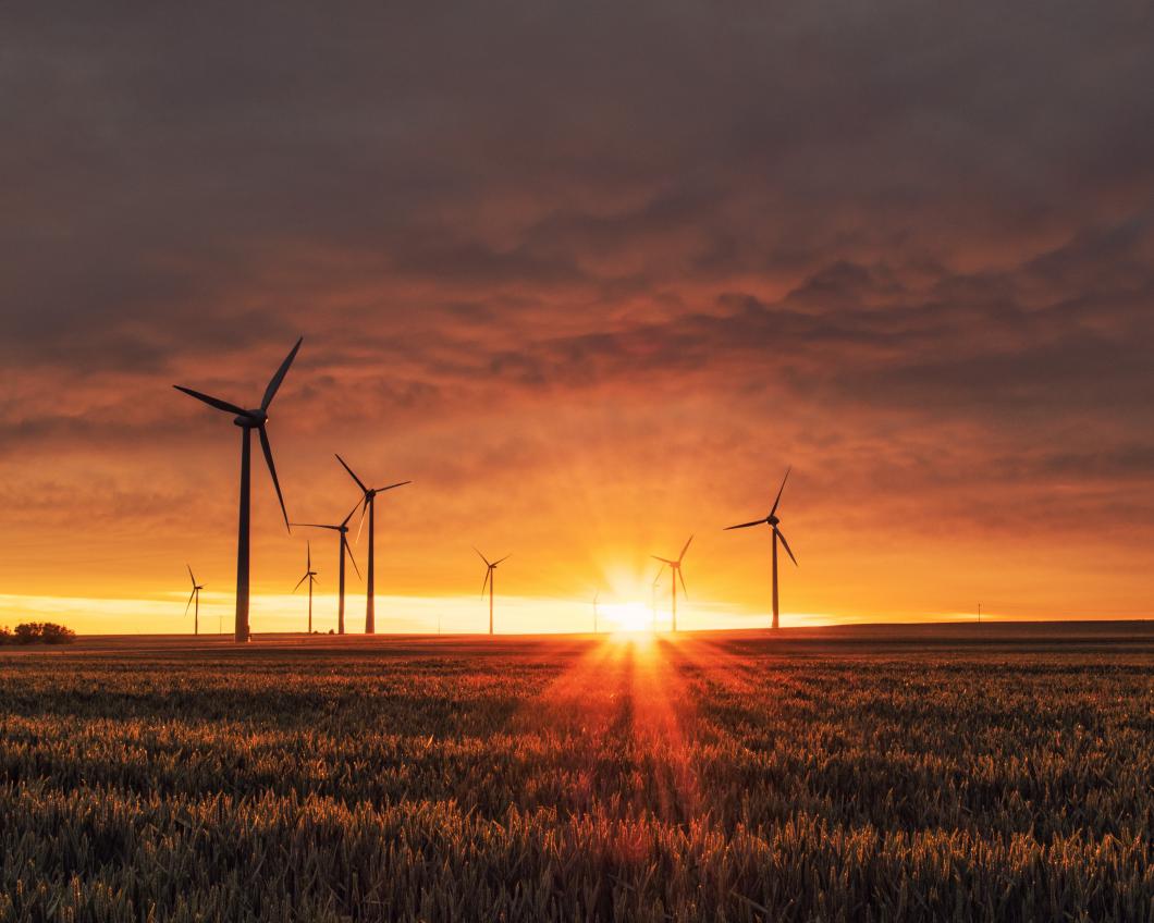 Windmolens op een veld in de ondergaande zon