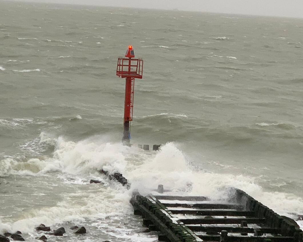 Westerschelde.jpg