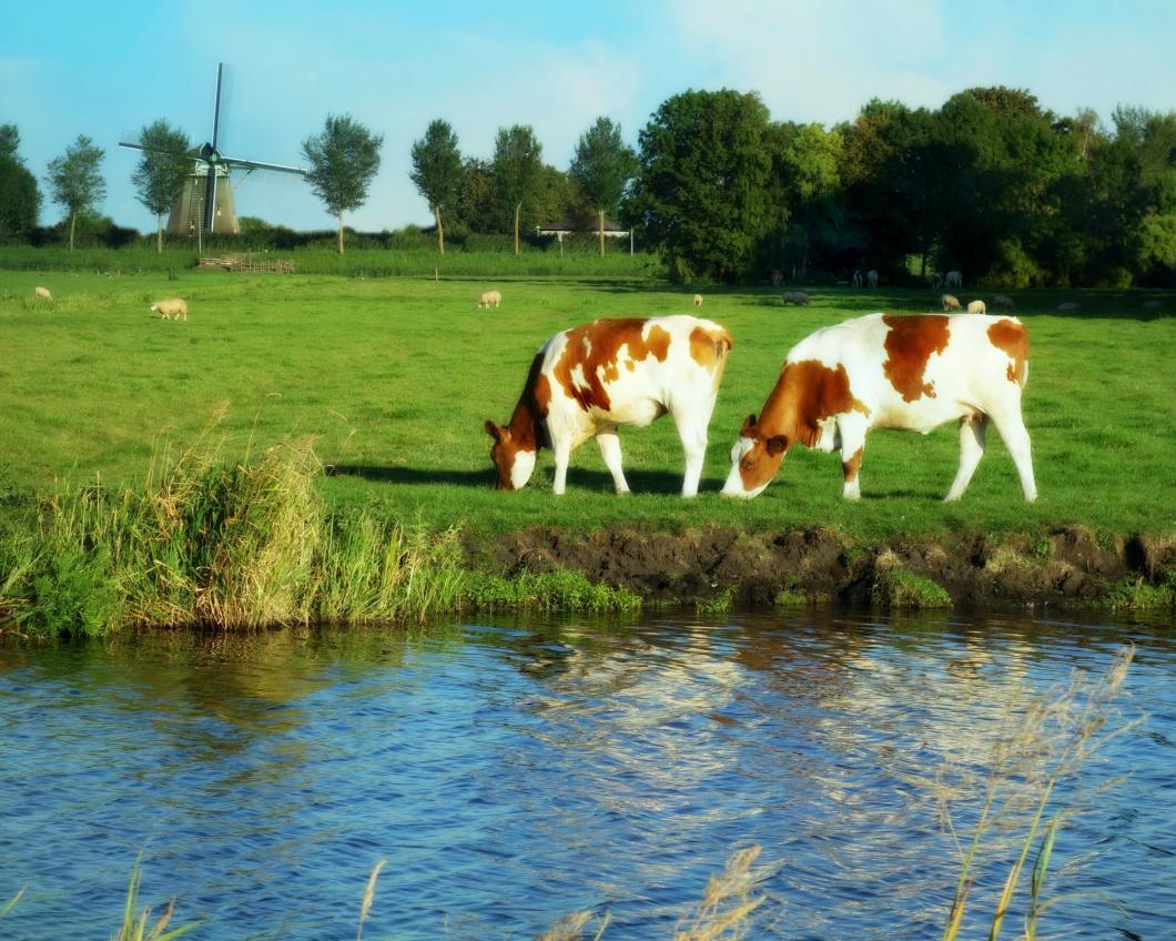 Natuurinclusief boeren