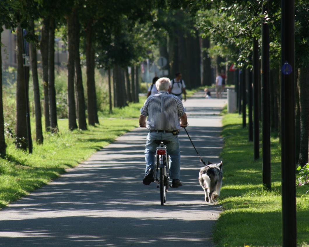 Man op fiets