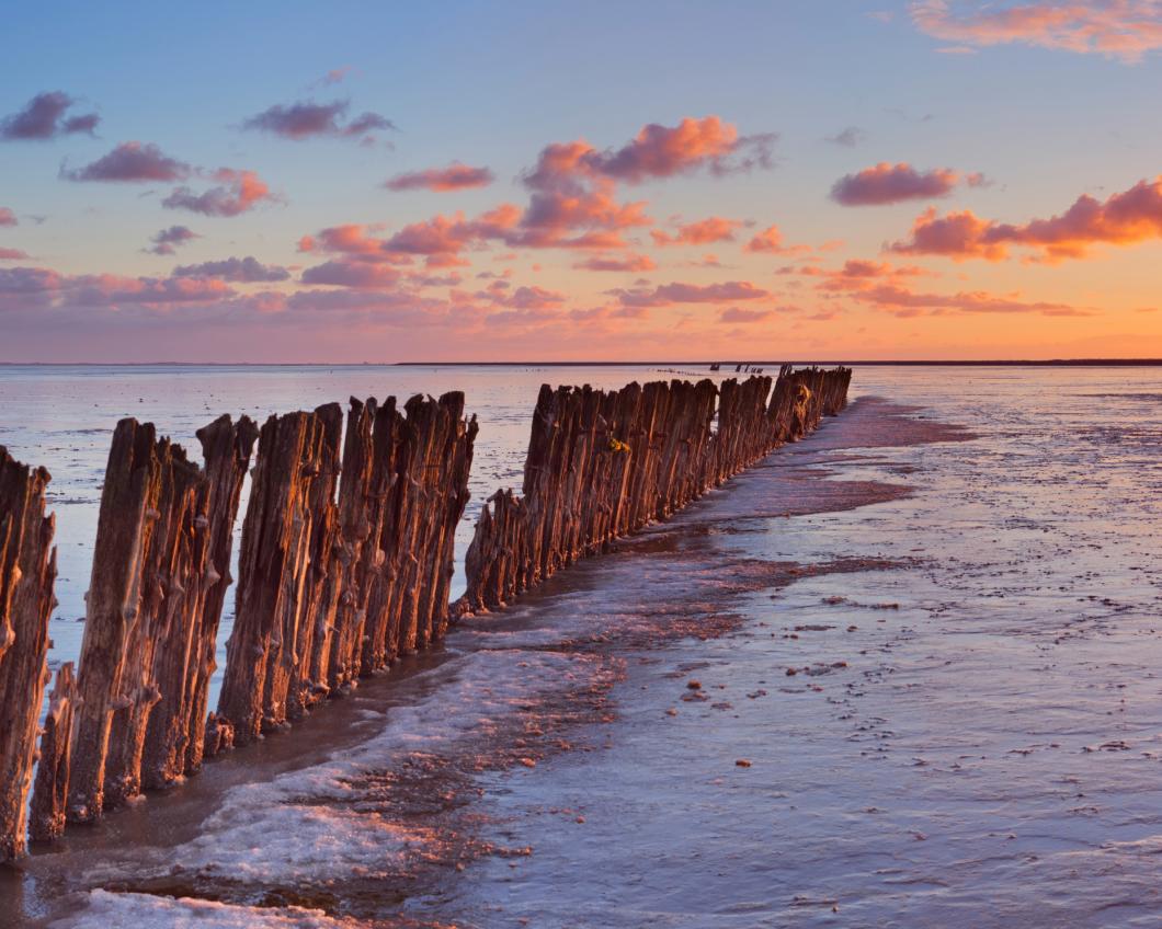 waddenzee-betaald.jpg